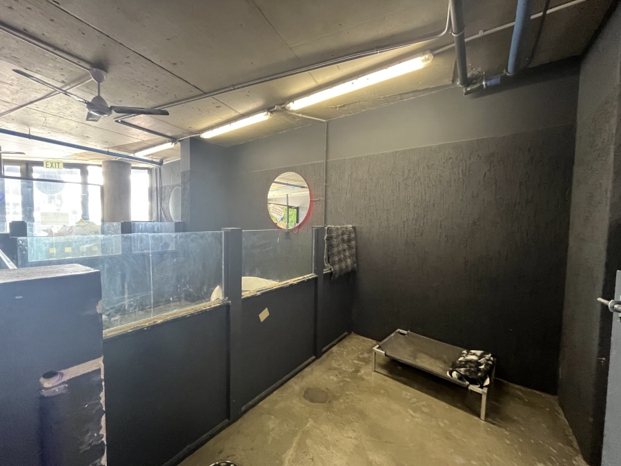 To Let commercial Property for Rent in Three Anchor Bay Western Cape